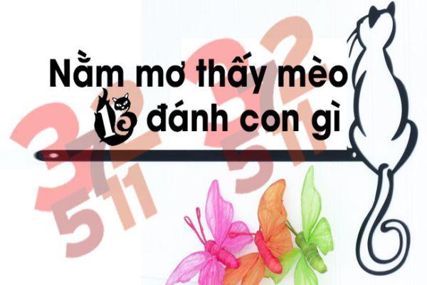 Con Mèo số mấy? Mơ Thấy Mèo đánh con gì cho chuẩn