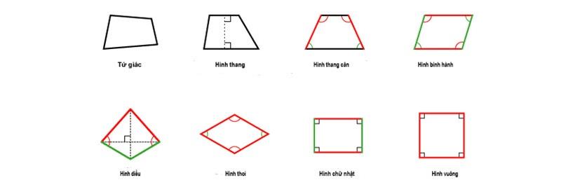 Cách tính diện tích hình tứ giác như thế nào? Bí quyết học hiệu quả