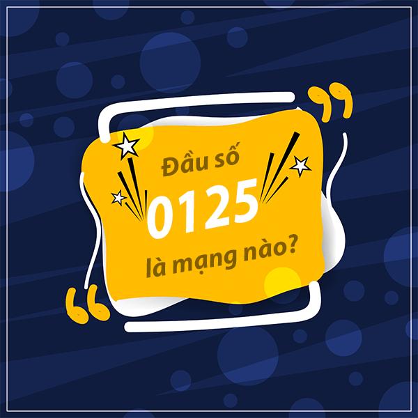 0125 là mạng gì, đầu số 0125 đổi thành đầu số 10 số nào?