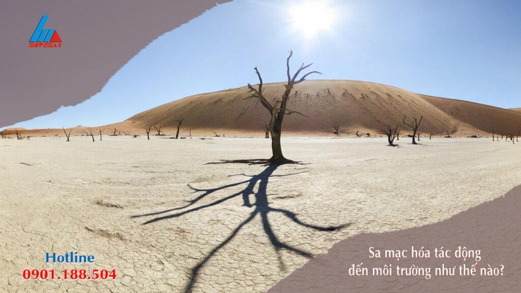 Sa mạc hóa tác động đến môi trường như thế nào?