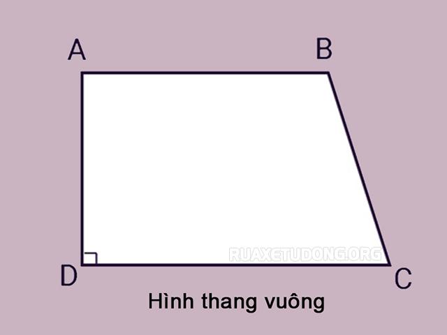 Công thức tính diện tích hình thang vuông & bài tập có lời giải chi tiết