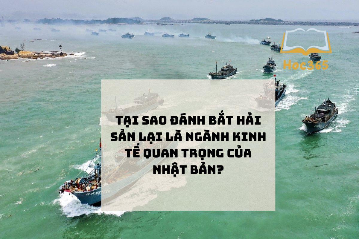 Trắc nghiệm – Tự luận tại sao đánh bắt hải sản lại là ngành kinh tế quan trọng của Nhật Bản?