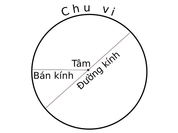 Phân biệt đường tròn và hình tròn? Cách tính đường kính hình tròn