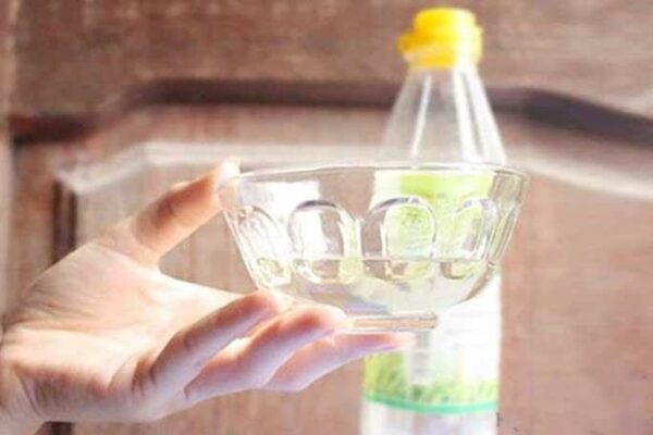 Tổng hợp 17 cách đuổi kiến ra khỏi nhà hiệu quả, nhanh chóng