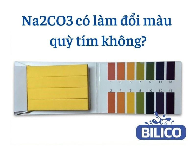 Na2CO3 có lưỡng tính không và có làm đổi màu quỳ tím không?