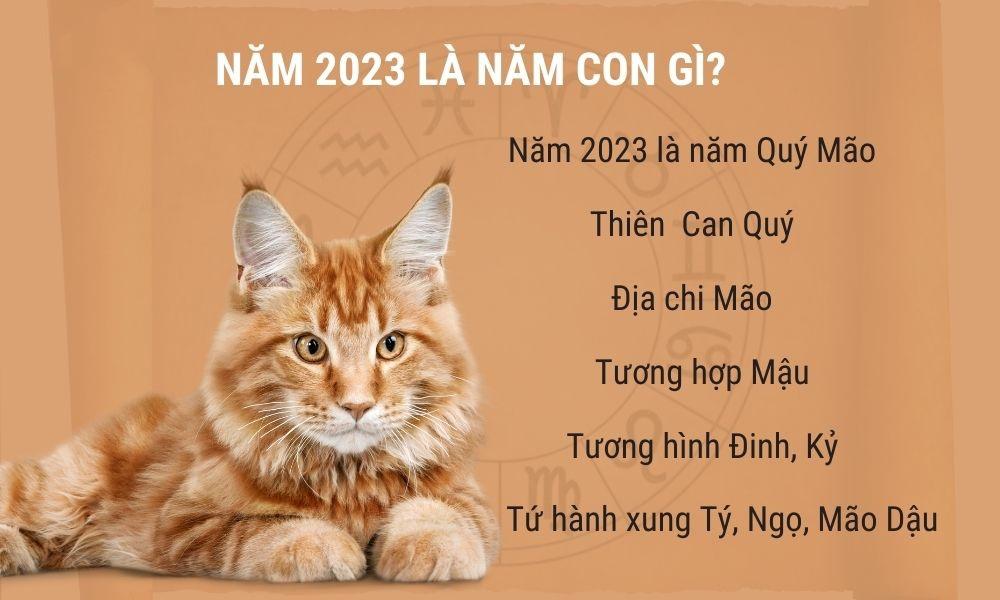 Tết 2023 là năm con gì?  Năm 2023 thuộc mệnh gì?