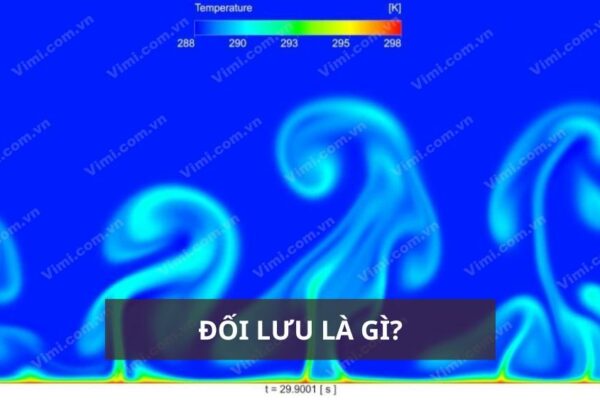 Đối lưu là gì? Những điều thú vị về đối lưu