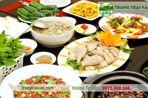 Tổng hợp các món ăn chế biến từ thịt Vịt Trời hấp dẫn nhất