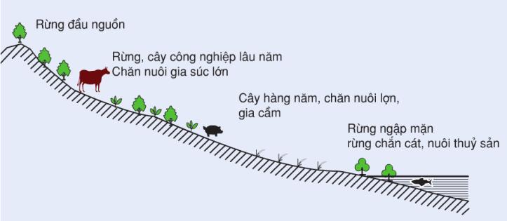 Lý thuyết Thế mạnh ngành ngư nghiệp vùng Bắc Trung Bộ Địa lí 12