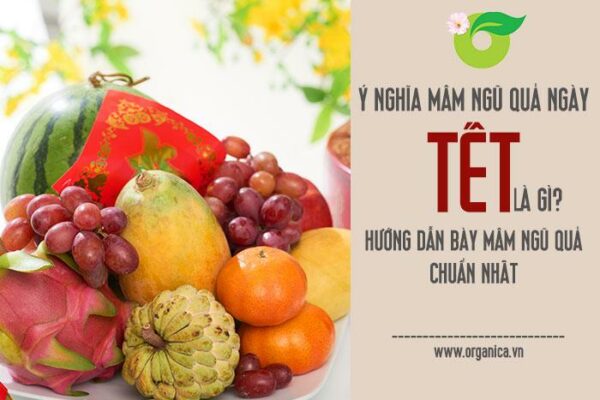 Ý nghĩa mâm ngũ quả ngày tết là gì? hướng dẫn bày mâm ngũ quả chuẩn nhất