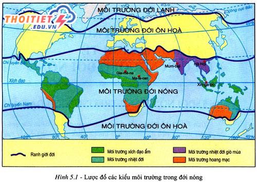 Các kiểu môi trường đới nóng? Đặc điểm của từng kiểu môi trường