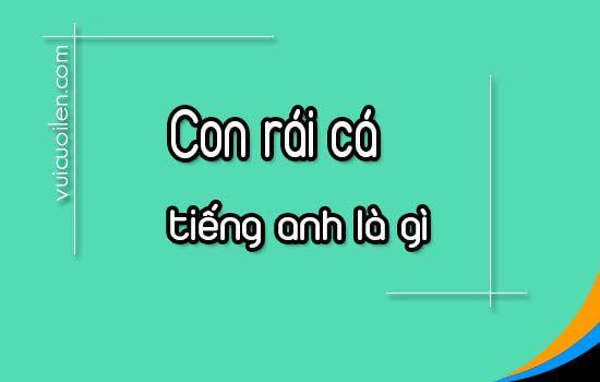 Con rái cá tiếng anh là gì và đọc như thế nào cho đúng