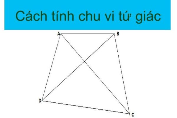 Công thức tính chu vi hình tứ giác đầy đủ chính xác nhất