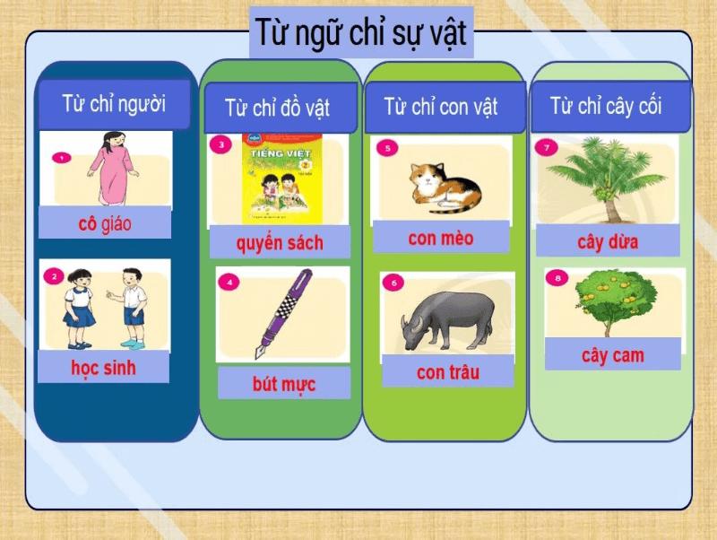 Sự vật là gì? Từ chỉ sự vật là gì? Các dạng bài tập tiếng Việt về danh từ chỉ sự vật