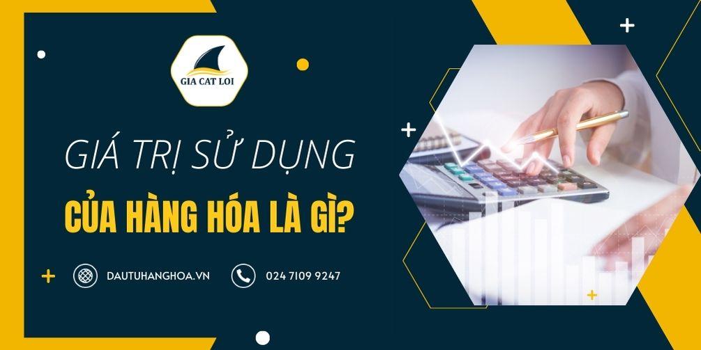 Giá Trị Sử Dụng Của Hàng Hóa Là Gì? Cách Tính Giá Trị Sử Dụng Của Hàng Hóa