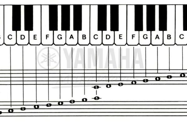 Cách đọc nốt nhạc piano cho người mới học nhạc