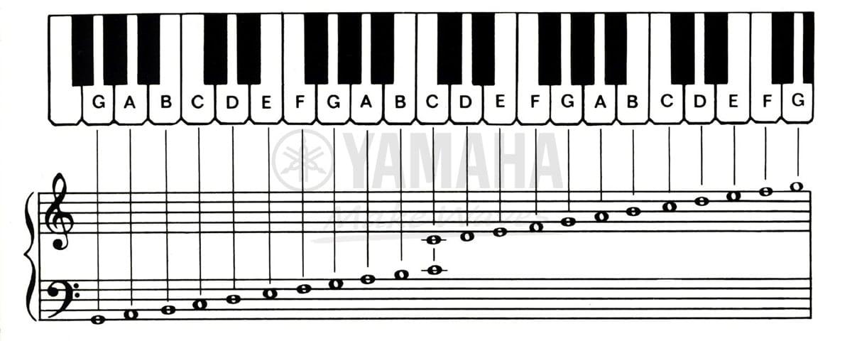 Cách đọc nốt nhạc piano cho người mới học nhạc