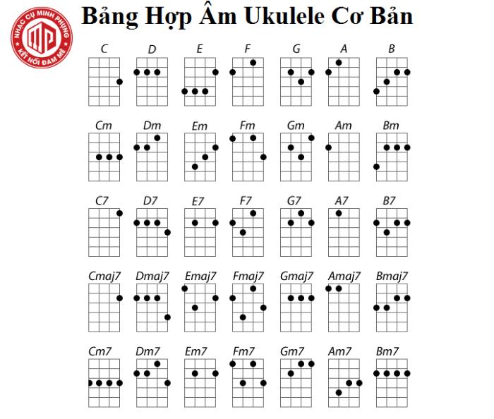 Tổng hợp các hợp âm Ukulele cơ bản nhất dành cho người mới tập