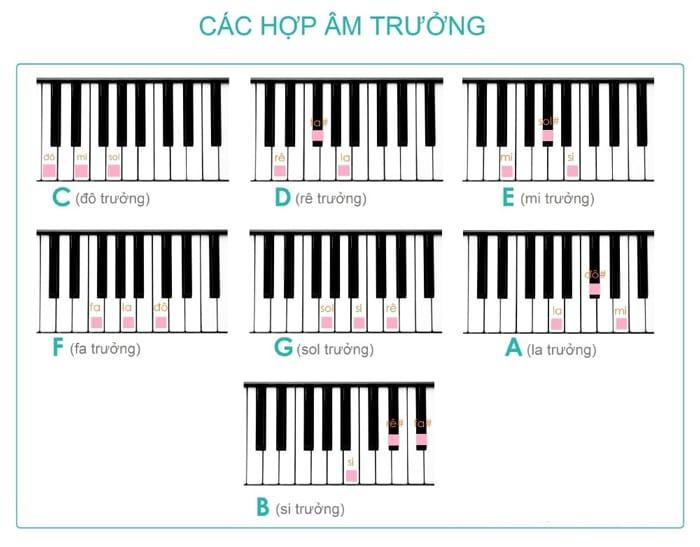 14 hợp âm piano cơ bản và cách ghi nhớ nhanh chóng, dễ dàng