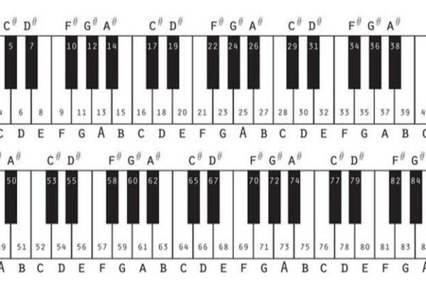 Các hợp âm piano cơ bản dành cho người mới học