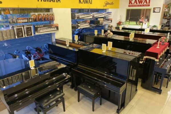 Nên mua đàn piano giá bao nhiêu để sử dụng