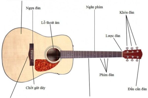 Các bộ phận chính của một cây đàn guitar