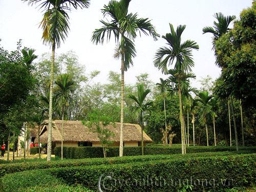 "Cây Cau" trong Tiếng Anh là gì: Định Nghĩa, Ví Dụ Anh Việt