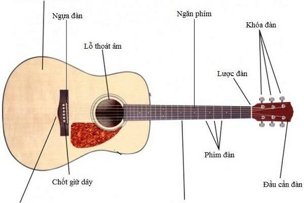 Hướng Dẫn Tự Học Đàn Guitar Tại Nhà