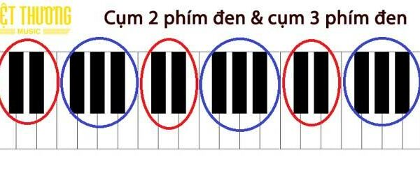 Đàn piano có bao nhiêu phím?