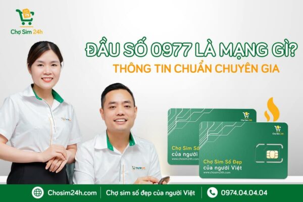 Đầu số 0977 là mạng gì? Mang ý nghĩa TỐT Hay XẤU?