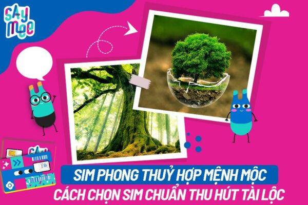 SIM Phong Thủy Hợp Mệnh Mộc - Cách Chọn SIM Chuẩn Thu Hút Tài Lộc