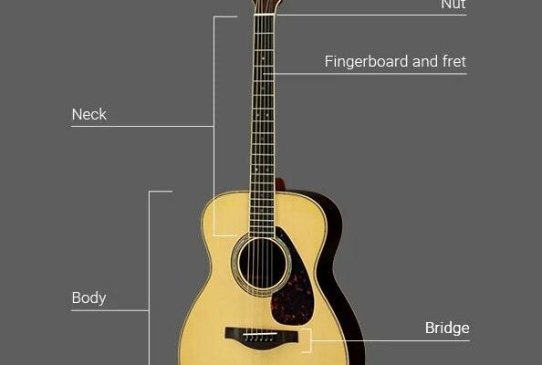 Hộp đàn Guitar có tác dụng gì và lời giải đáp từ chuyên gia