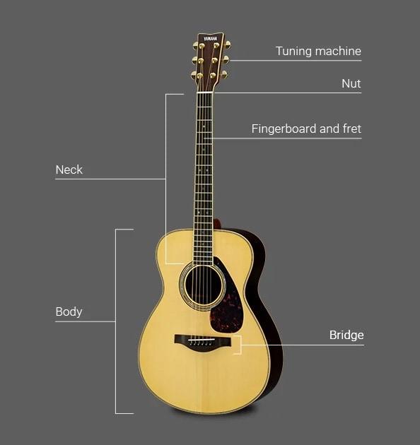 Hộp đàn Guitar có tác dụng gì và lời giải đáp từ chuyên gia