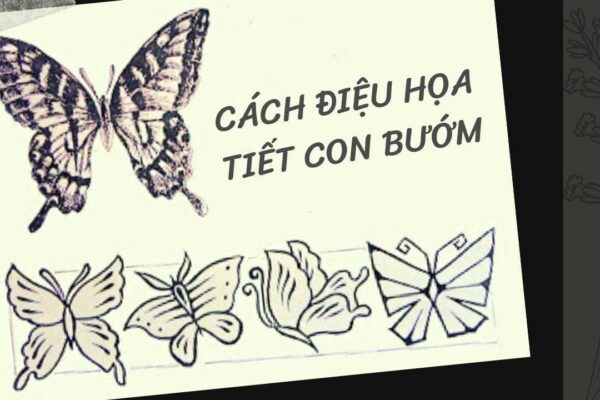 CÁCH ĐIỆU CÔN TRÙNG ĐẸP (Phần 1)