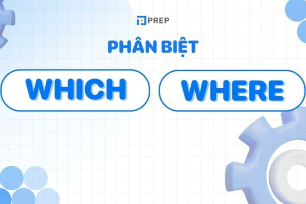 Phân biệt Which và Where: Sử dụng như thế nào trong mệnh đề quan hệ?