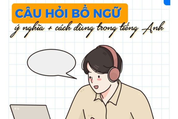 Câu hỏi bổ ngữ: When, Where, How, Why trong tiếng Anh là gì?